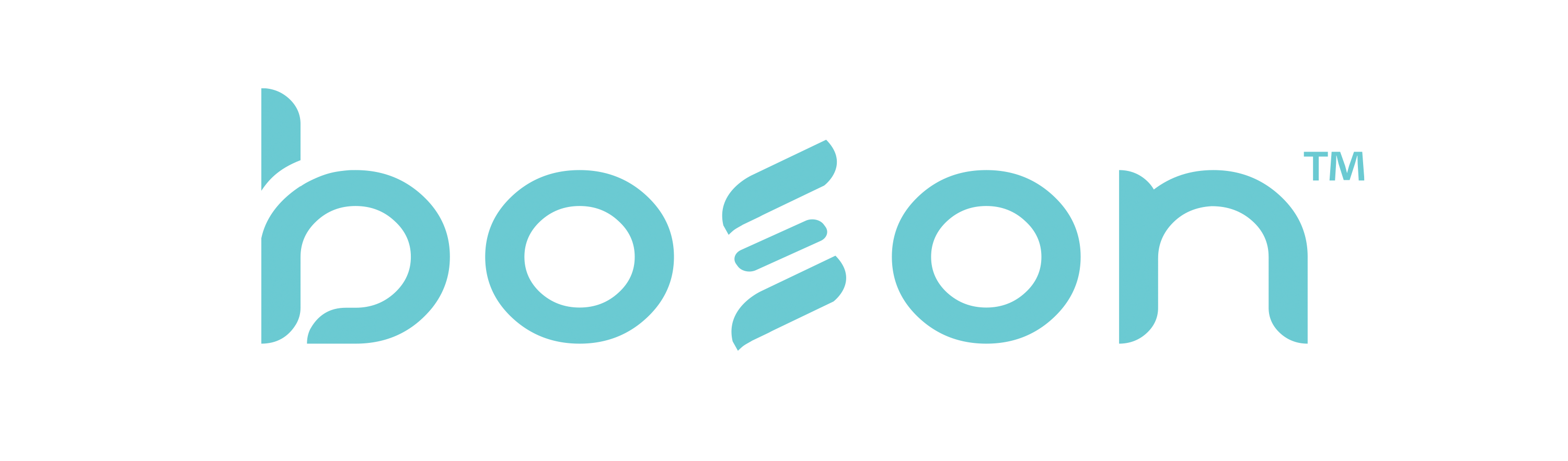 Boson Products